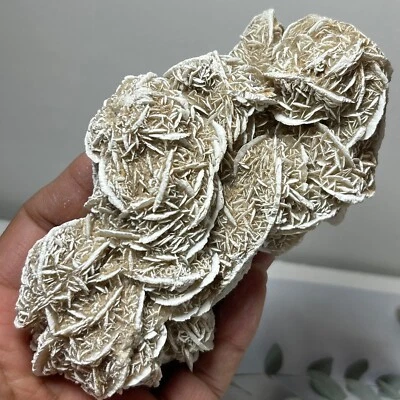 $51.80 • Buy Desert Rose Selenite Stone Natural Quartz Crystal Reiki Healing Mineral Specimen