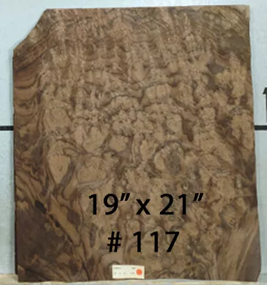 Walnut Burl Wood Veneer 19  X 21  Raw No Backing 1/42  Thickness AAA Grade # 117 • $75