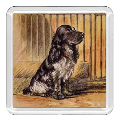 Cocker Spaniel Lovely Dog Acrylic Coaster Novelty Drink Cup Mat Great Gift • £3.49