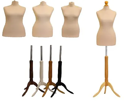 Female Size 20/22 Tailors Bust Mannequin Cream Dummy Fashion Retail Display • £39.95