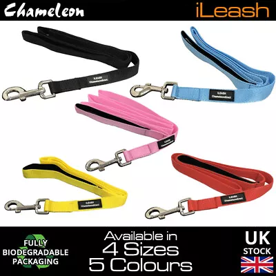 Dog Lead Leash 4 & 6 Foot 1.2m-1.8m Lifetime Guarantee Neoprene Padded Handle • £5.25