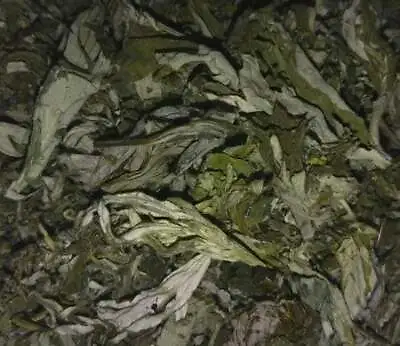 Organic Mugwort Dried Leaves - Artemisia Argyi - Wicca Apothecary Smoke Herb • $8.50