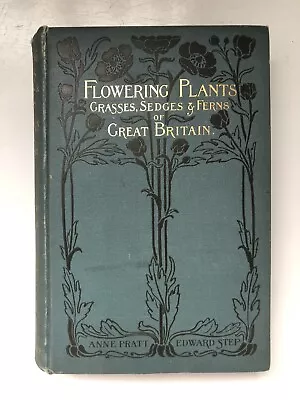 Flowering Plants Grasses Sedges & Ferns Anne Pratt Edward Step - 1899 - Vol 2 • £49.99
