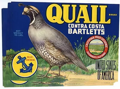 15 Quail Brand Pear Crate Labels Wholesale • $20