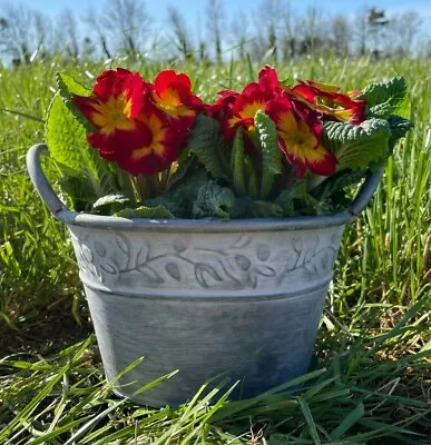Galvanised Zinc Planter Pot Bowl With Handles |Outdoor Garden Metal Plant Trough • £12.99
