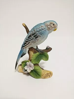 Vintage Blue Parakeet Bird Figurine Hand Painted D. Grossman Blue 3.25  Figure • $16.99