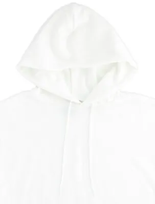Champion Men's Hoodie Eco Authentic Pullover Sweatshirt Double Dry S700 • $19.99