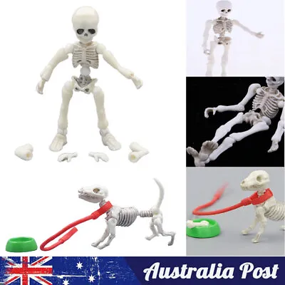 Mini Pose Skeleton Doll Dog Animal Model  Skeleton Bones Figure Decorations Gift • $14.29