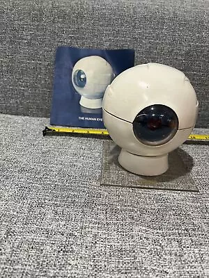 Merck Sharpe Dhome Anatomical Human Eye Model 1963 Eyeball Ophthalmology Vintage • $75