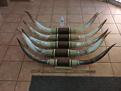 Mounted Steer Horns 4'6  - 4' 11  Tip To Tip  (1 Set) Cow Bull Horns Longhorns • $175