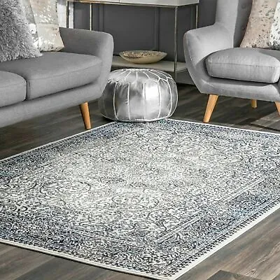 NuLOOM Transitional Delores Area Rug In Blue • $53.57