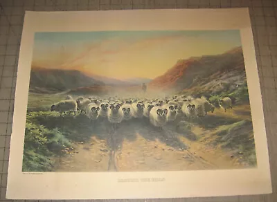 Vintage David Farquharson LEAVING THE HILLS 20  X 16  Color Print - Sheep Herd • $18