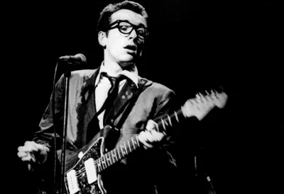 $14.95 • Buy Elvis Costello Poster, Live In Concert, Punk, Pub Rock 