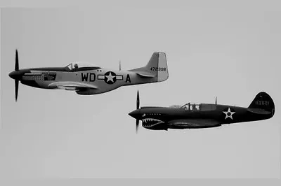 P40 P51 Poster Mustang Military Airplanes 24x36 • $24.95