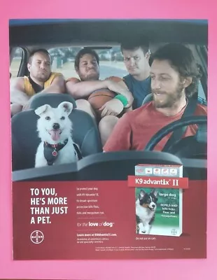 2015 K9 Advantage By Bayer Print Ad 4 Friends And A Dog Wall Decor  Frame It! • $12.49