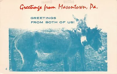 Vtg Postcard Masontown PA Pennsylvania Burros Donkeys Mule Sweethearts L11 • $11.45