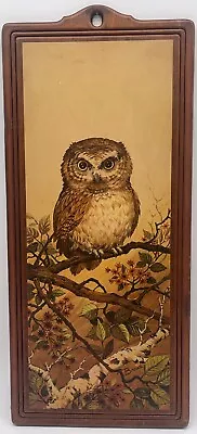 Owl Art Print Vintage Wall Decor Wood • $12.99