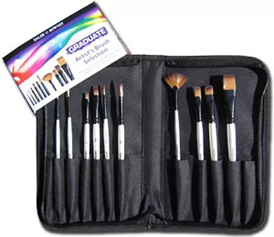 Daler Rowney Graduate 10 Artist Paint Brush Set Travel Carry Case - Short Handle • £29.99