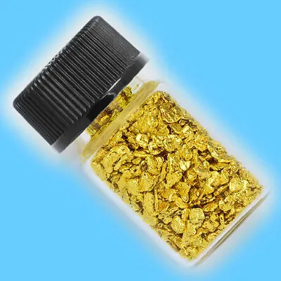 1 Gram Alaska Natural Gold Nuggets In BOTTLE - Alaskan TVs Gold Rush (#130-B14) • $85