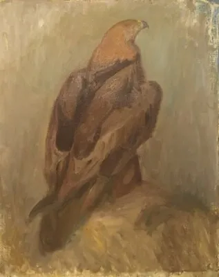 Allan Andersson (1904-1979). Oil On Canvas. Golden Eagle. Mid 20th Century. • $750