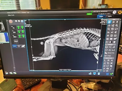 Veterinary Digital Xray Detector DR X-ray • $16666