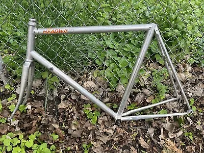 Vintage 58 Cm Aluminum Race Trek? Bicycle Frame+Sakae Fork 56 Cm Top Tube 130 Mm • $199.99