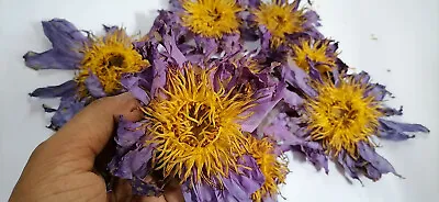 $0.01 • Buy Organic Whole Dried Blue Lotus Flowers Sacred Lily Nymphaea Caerulea