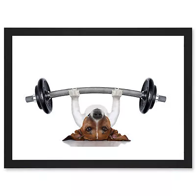 Funny Photo Jack Russell Dog Personal Trainer Weight Lifter Framed A3 Art Print • £26.99