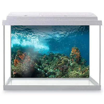 Fish Tank Background Marine Life Underwater Bubbles Coral Fish • £9.99