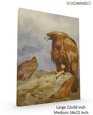 £34 • Buy Scottish Art Archibald Thorburn Pair Golden Eagles Nature Canvas Wall