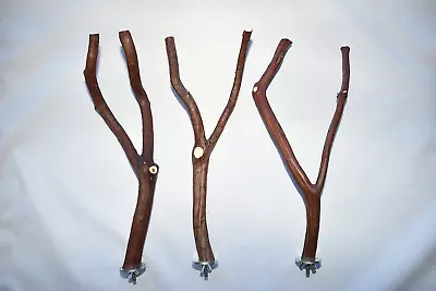 Manzanita Bird Perches Set Of 3 Forked Multibranch  W/ Hardware * Sweet • $16.99