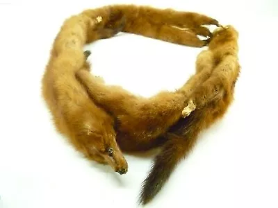 Brown Mink Fur 4-Full Body Pelt Stole Scarf Shawl Wrap 50  X 6.5  • $45