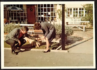 Vintage Photograph Man & Woman Standing With Cute Puppy Dog • $8.40