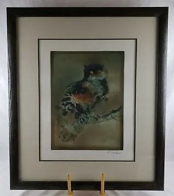 Kaiko Moti Owl Color Etching #200 Out Of 250 Signed Framed • $624.99