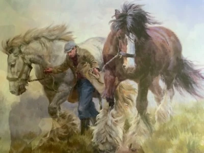 £49.99 • Buy Shire Horses Print Signed And Numbered By Rosemary Sarah Welch