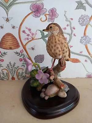 Country Artists Song Thrush With Common Violet. 02911. Hand Painted Ornament. • £6.99