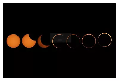 Solar Eclipse Progression All Of The Phases 4x6 Photo • $8.49