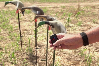 $44.99 • Buy MOJO Multi Decoy Remote Kit