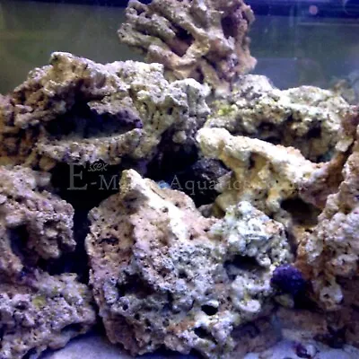 Live Rock For Marine Aquariums (5Kg 10Kg 15Kg And 20Kg Bundled Deals) • £235