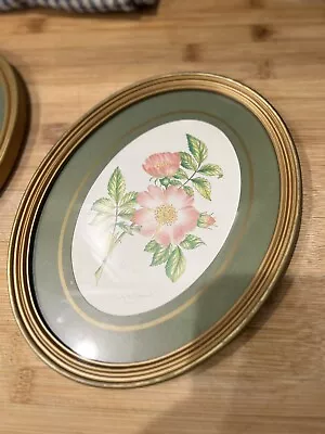 Elizabeth Sheppard Vintage Floral Prints Great Britain Oval Frame Avon #160 • $18