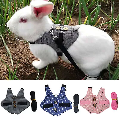 Walking Leash Bite-resistant Wear-resistant Walking Safety Leashes Rabbit • $8.05