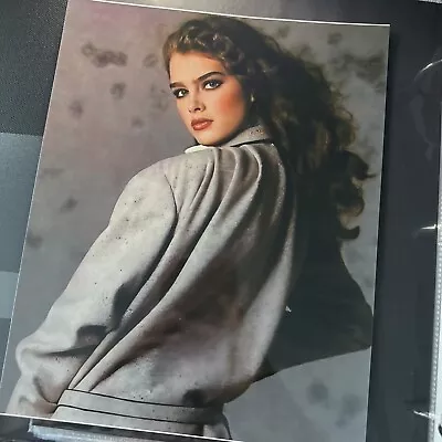 Model & Actress Brooke Shields Publicity Picture Photo Print 8  X 10    • $15.99