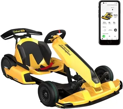 Segway Ninebot Electric GoKart Pro Outdoor Race Pedal Go Karting Car • $3299