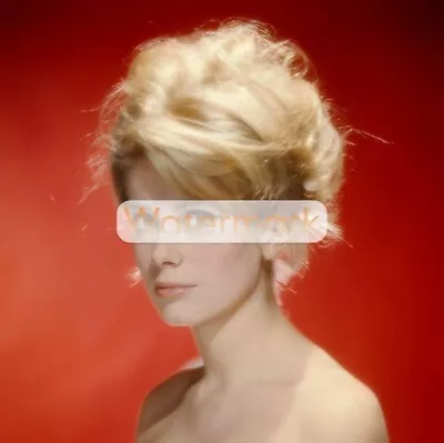 CATHERINE DENEUVE Vivid Color Portrait In 1963 ** Pro Pigment Photo (8.5 X11 ) • $24.50