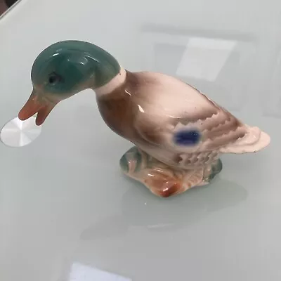 VINTAGE CHINA MALLARD DUCK. VGC Possibly Royal Copley/Worcester? • £0.99