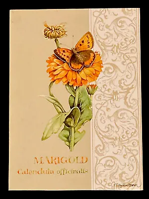 $14.99 • Buy Nature’s Journey Floral Wall Decor By Marjolein Bastin Marigold & Butterfly