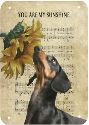 £6.99 • Buy Daschund Dog You Are My Sunshine On Music Sheet Metal Sign Plaque