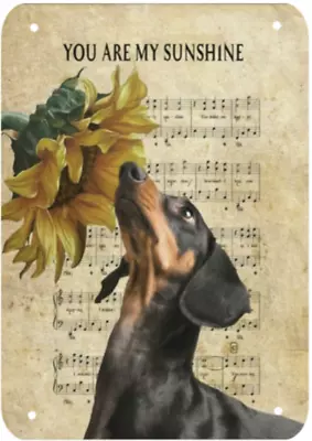 Daschund Dog You Are My Sunshine On Music Sheet Metal Sign Plaque • £6.99