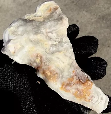 Laguna Lace Agate Rough Botryoidal Mexican Crazy Lace 14.6 Oz Lapidary • $10