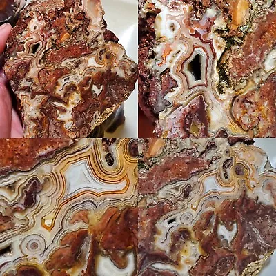 Crazy Lace Agate Laguna Lace Banded Agate Mexico Rough Botryoidal Bullseyes 719g • $80